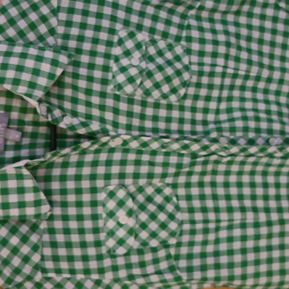 Flannel - Picture 3 of 7